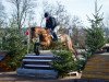 eventing horse Cornelius 54 (Trakehner, 2015, from Herbstkönig 2)