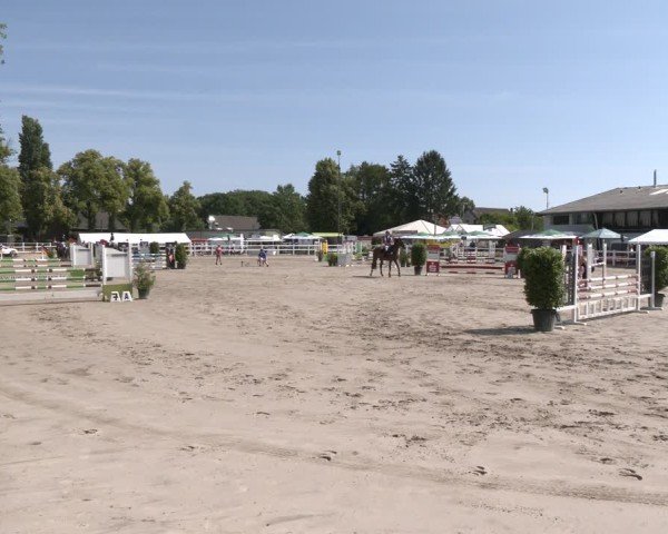 Reitturnier Dortmund-Somborn 2025