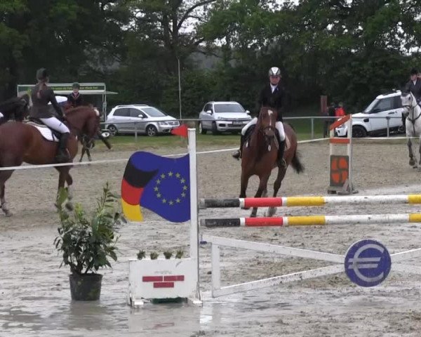 Coesfelder Reitertage 2014