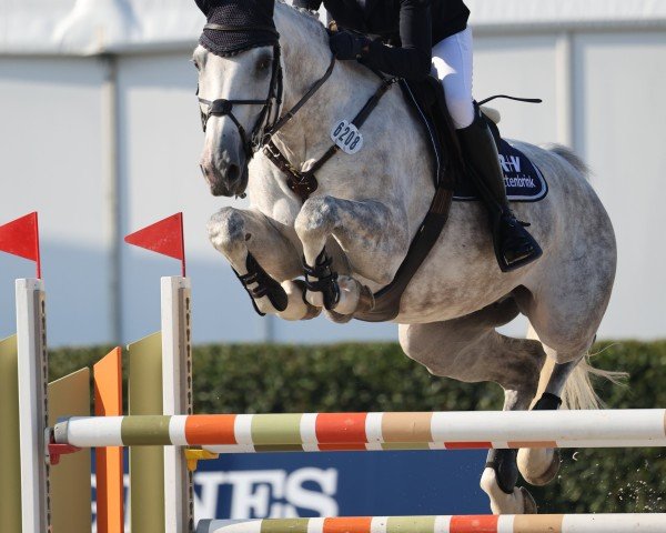 Britta Wittenbrink