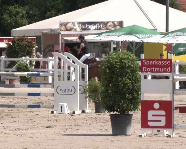 Reitturnier Dortmund-Somborn 2025