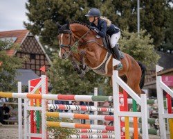 jumper Call Me Accord (anglo european sporthorse, 2018, from Call me Pezi)