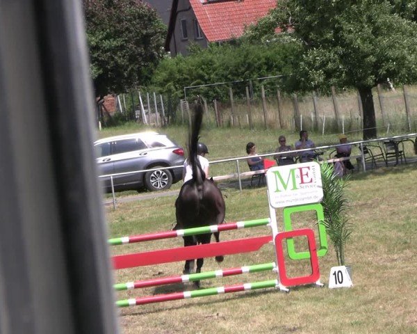 Reitturnier Uenze 2025
