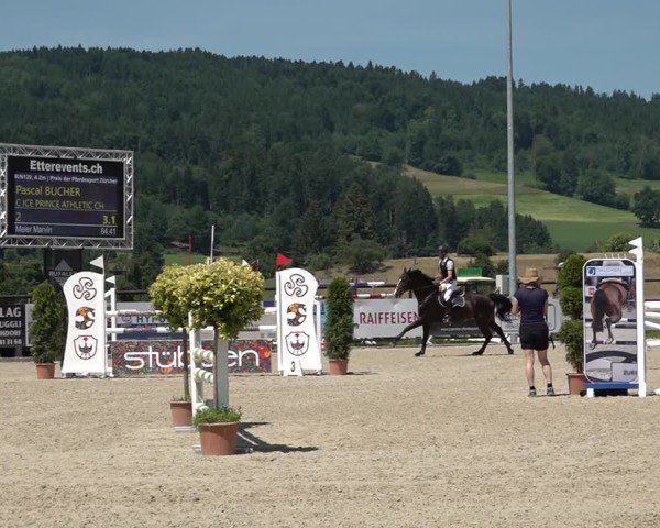 Reitturnier Hitzkirch 2025
