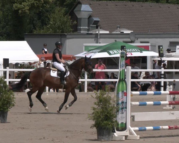 Reitturnier Dortmund-Somborn 2025