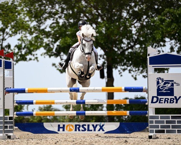 jumper Veehaypee du Serein (French Pony, 2009, from Dexter Leam Pondi)