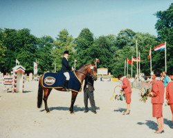 Zuchtstute Vogtin (Holsteiner, 1983, von Calypso I)