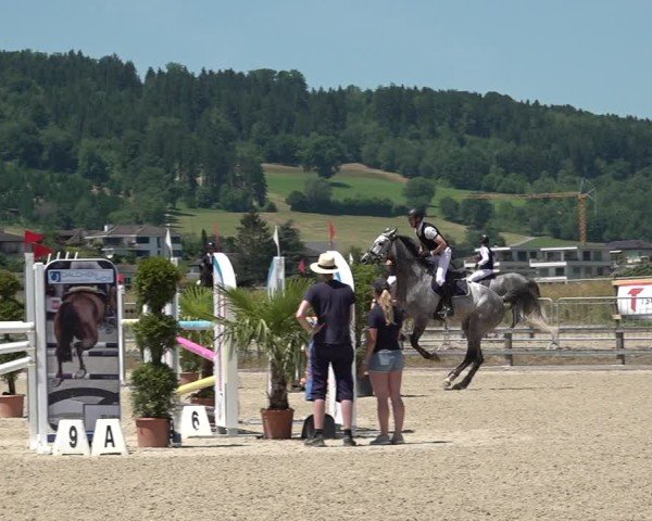 Reitturnier Hitzkirch 2025