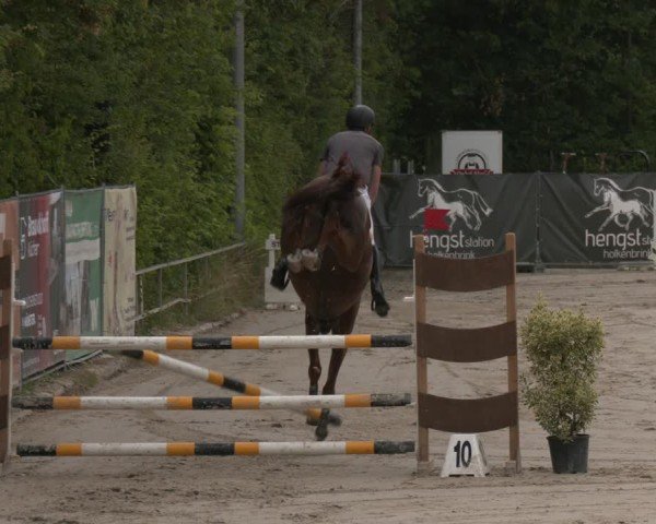 Reitturnier Münster-Albachten 2025