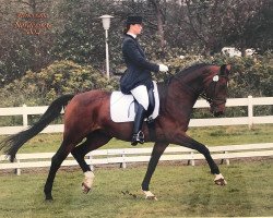 dressage horse Luna de la coeur (Rhinelander, 1998, from Lamoureux II)