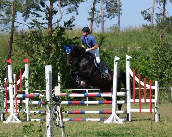 jumper Delilah 73 (Oldenburg show jumper, 2017, from Dallas VDL Z)