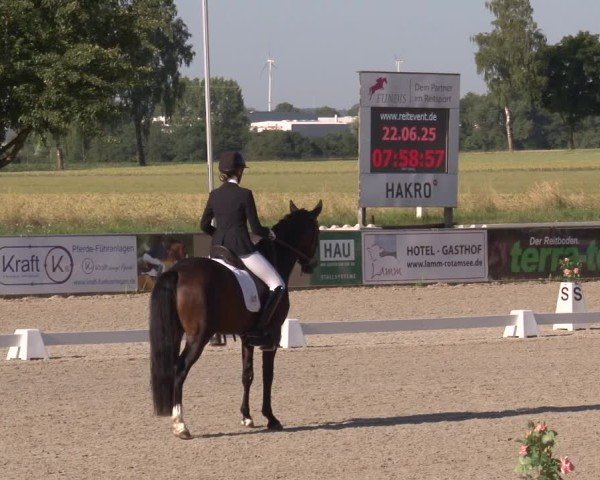Reitturnier Rot am See- Musdorf 2025