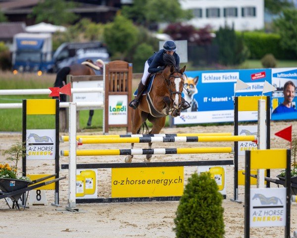 jumper Famouse Future (Slovakian Warmblood, 2012, from Cabrio van de Heffinck)