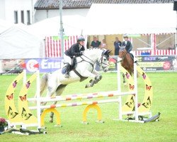 jumper Donna Bella S 2 (Zweibrücken, 2013, from Damarco)