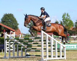 jumper Okidera (KWPN (Royal Dutch Sporthorse), 2005, from Ovidius)