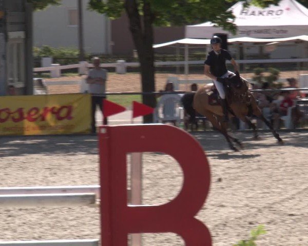 Reitturnier Rot am See- Musdorf 2025