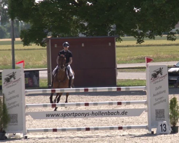 Reitturnier Rot am See- Musdorf 2025