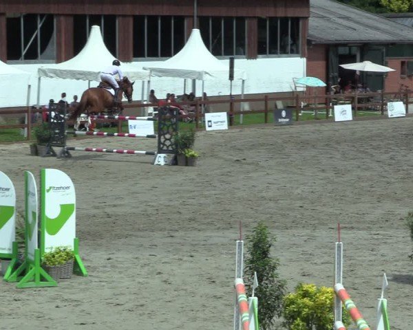 Reitturnier Breitenburg 2025