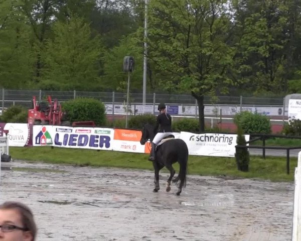 Dressur- und Springturnier Halver 2014