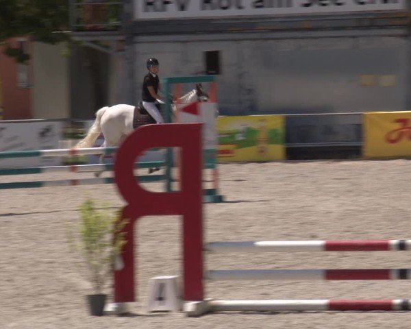 Reitturnier Rot am See- Musdorf 2025