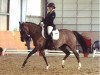 dressage horse Die Feine KA (German Riding Pony, 2011, from Dornik B)