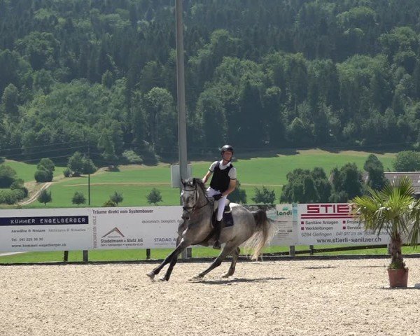 Reitturnier Hitzkirch 2025