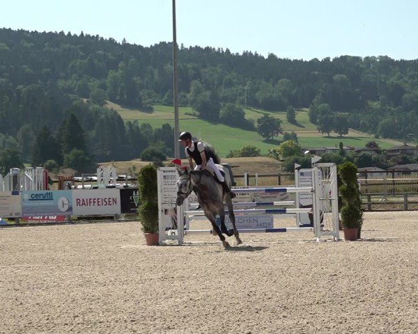 Reitturnier Hitzkirch 2025