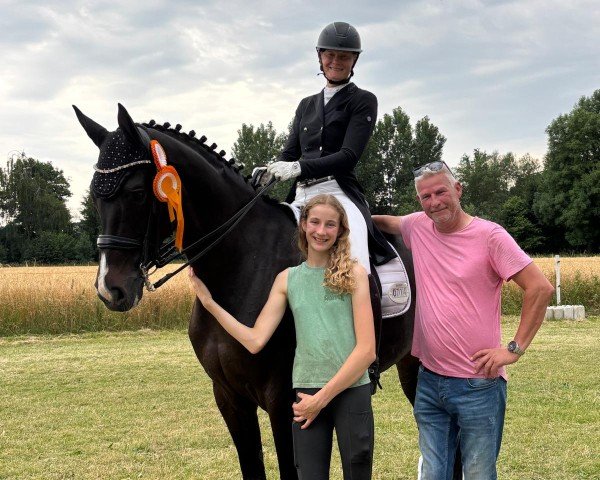 dressage horse Schöne Donna Clara (Hanoverian, 2016, from Sarotti Mocca-Sahne)