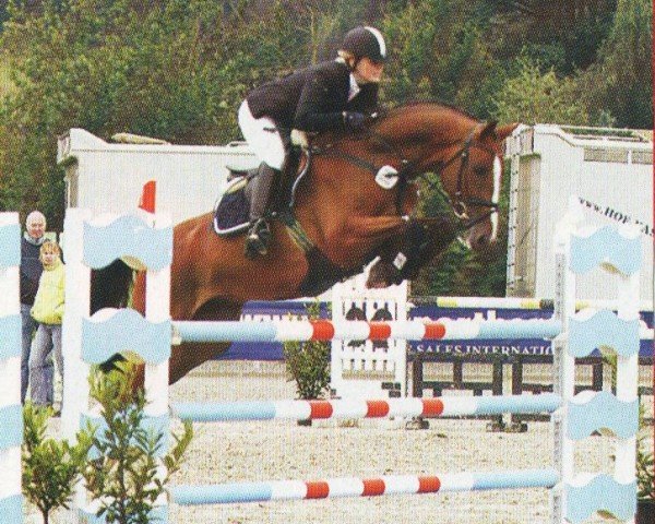 Springpferd Follow Me (Deutsches Reitpferd, 2002, von Fighting Alpha)