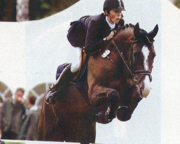 jumper Sir Henry 166 (Oldenburg, 1999, from Silvio I)