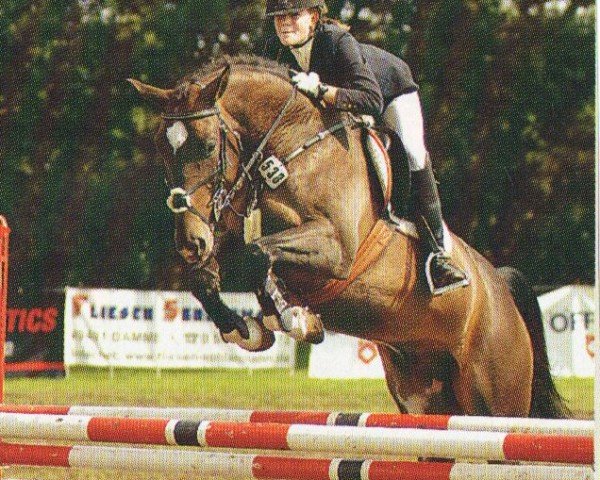 jumper Lacoste 82 (KWPN (Royal Dutch Sporthorse), 1999, from Lester)