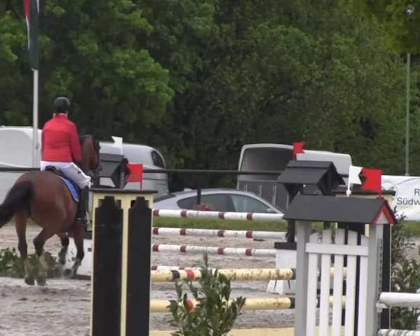 Dressur- und Springturnier Halver 2014