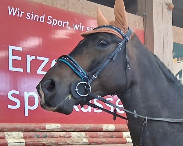 horse Regiment (unknown, 2016, from Nomen)