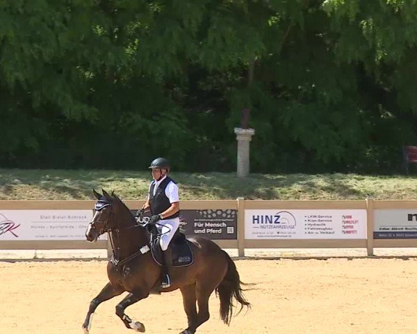 Reitturnier Tiefenhof/Opf. 2025