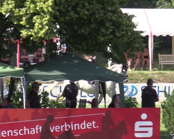Reitturnier Löbnitz 2025