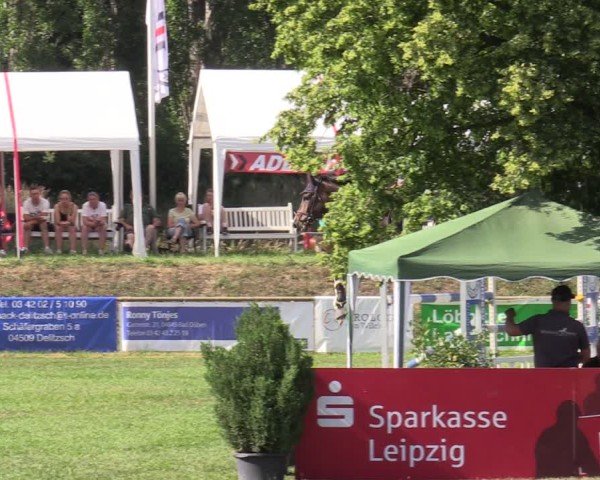 Reitturnier Löbnitz 2025