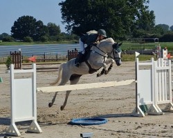 jumper Mister Tinka Mnm (unknown, 2011)