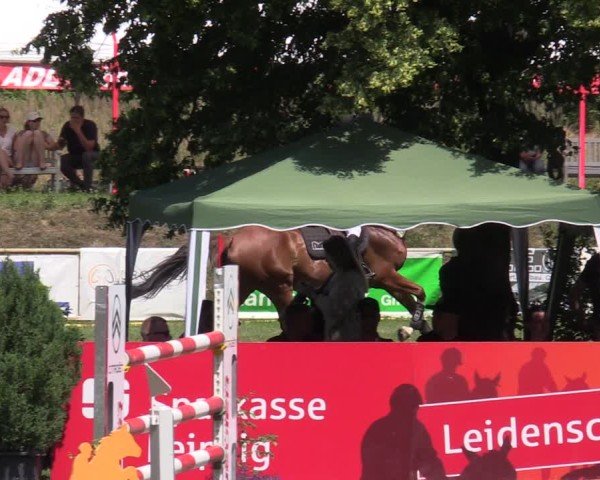 Reitturnier Löbnitz 2025