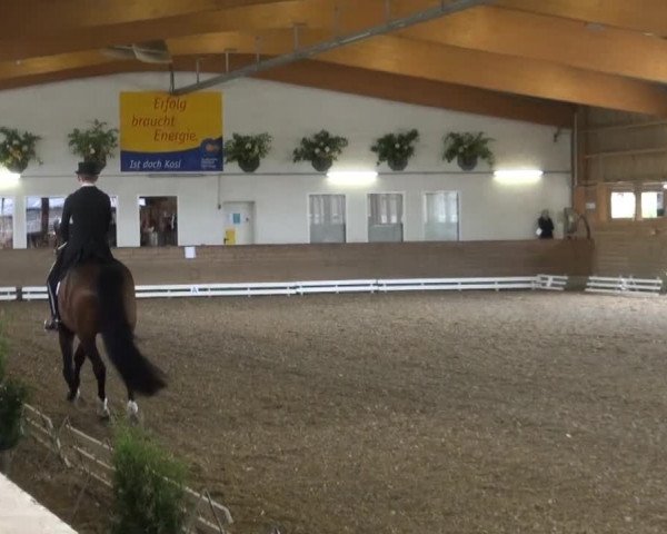 Coesfelder Reitertage 2014