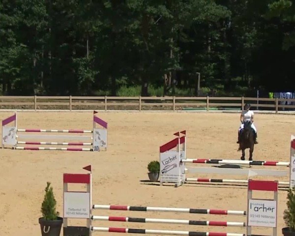 Reitturnier Tiefenhof/Opf. 2025