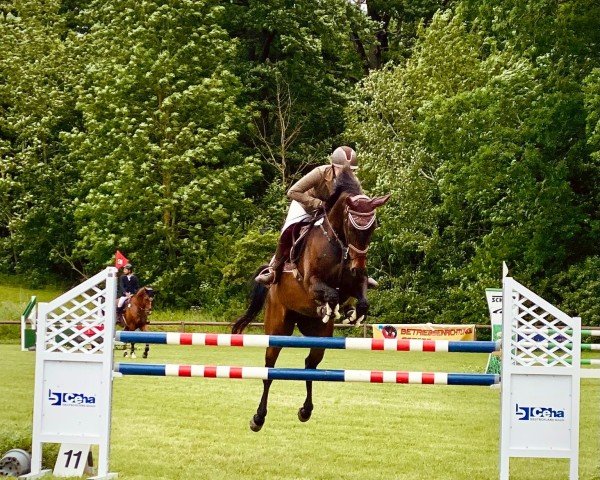 jumper Icara 5 (Hanoverian, 2015, from Icare d'Olympe AA)