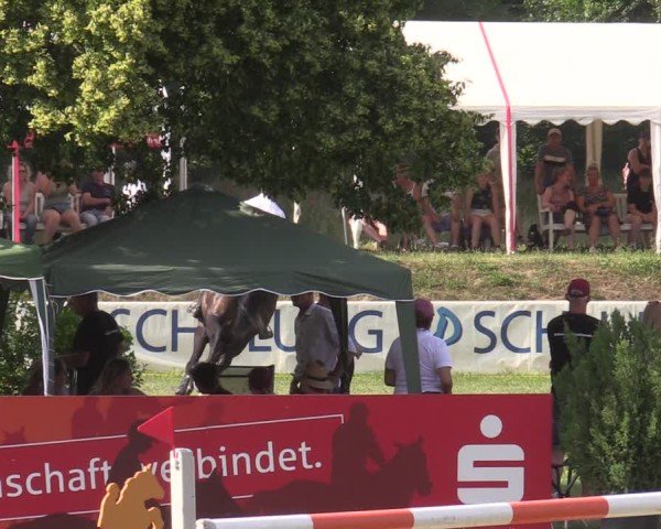 Reitturnier Löbnitz 2025