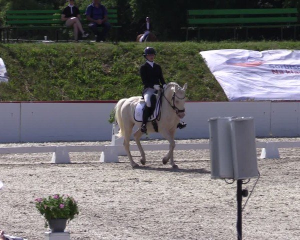 Reitturnier Holschdubrau 2025