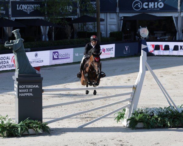 jumper Love You Fortuna (KWPN (Royal Dutch Sporthorse), 2016, from Gaultier VDL)