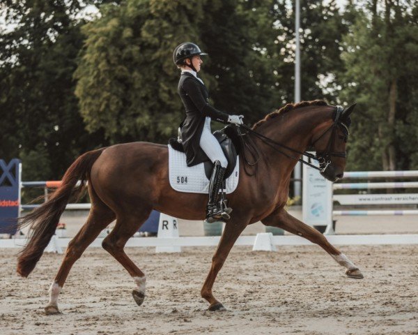 dressage horse Beau Monde (Oldenburg, 2014, from Bordeaux 28)