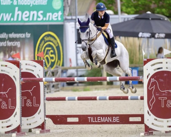 jumper Coulibaly Lv Diepenbroeck Z (Zangersheide riding horse, 2015, from Cabrio van de Heffinck)