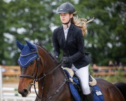 jumper Call me Jack 3 (German Riding Pony, 2018, from Cascavelle NT)