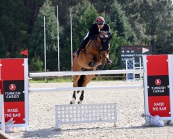 jumper Juggler (KWPN (Royal Dutch Sporthorse), 2014, from Ambler Gambler)