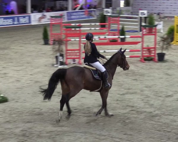 3. Nordic Jumping in Negernbötel 2021