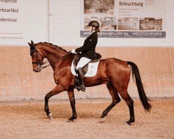 dressage horse Buckingham's Rock My Heart (Hanoverian, 2017, from Buckingham)